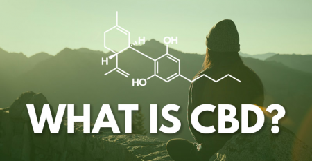 CBD Oil: The Complete UK Guide To Cannabidiol (2021 Ready) - Oddee