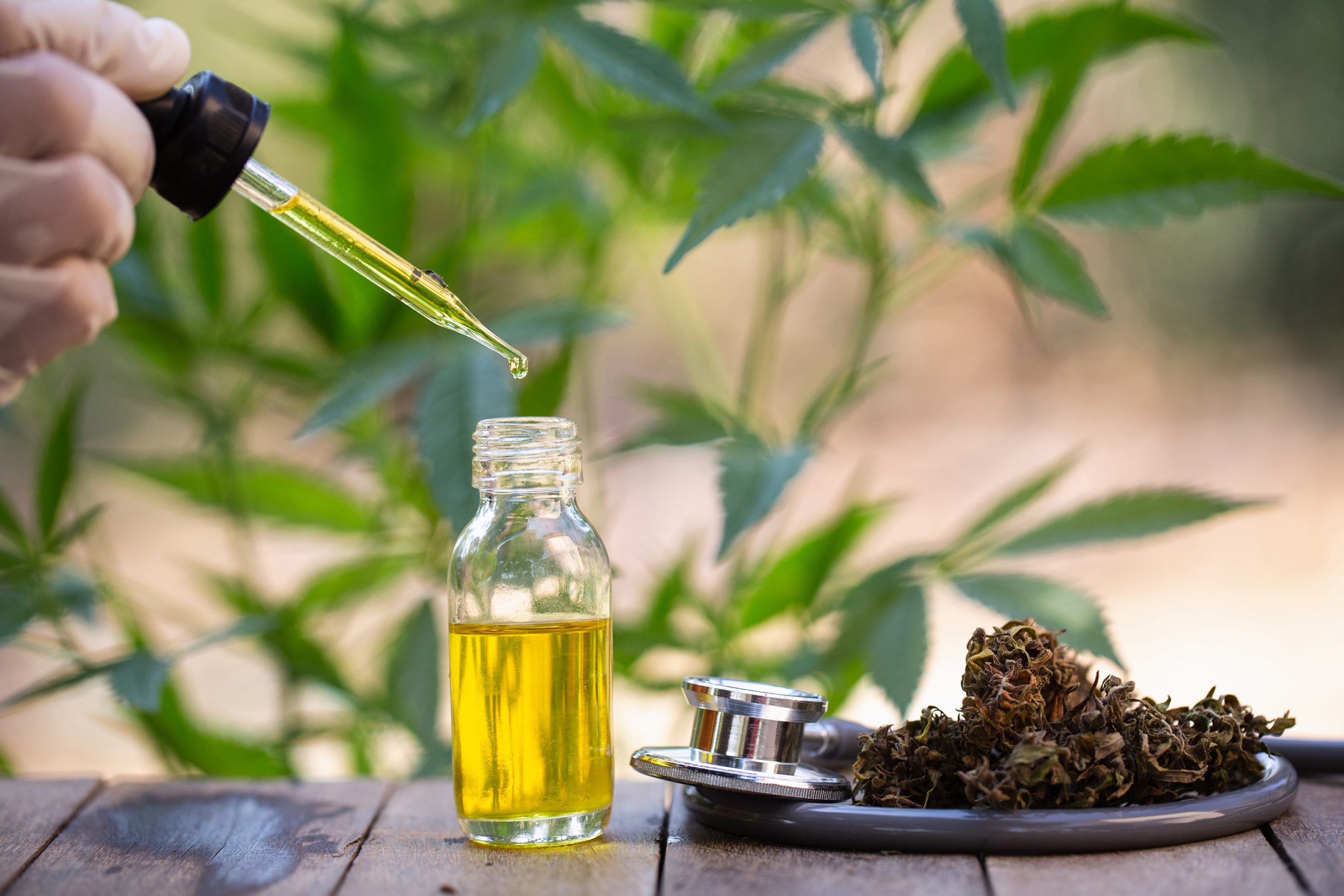 cbd-oil-the-complete-uk-guide-to-cannabidiol-2021-ready-oddee