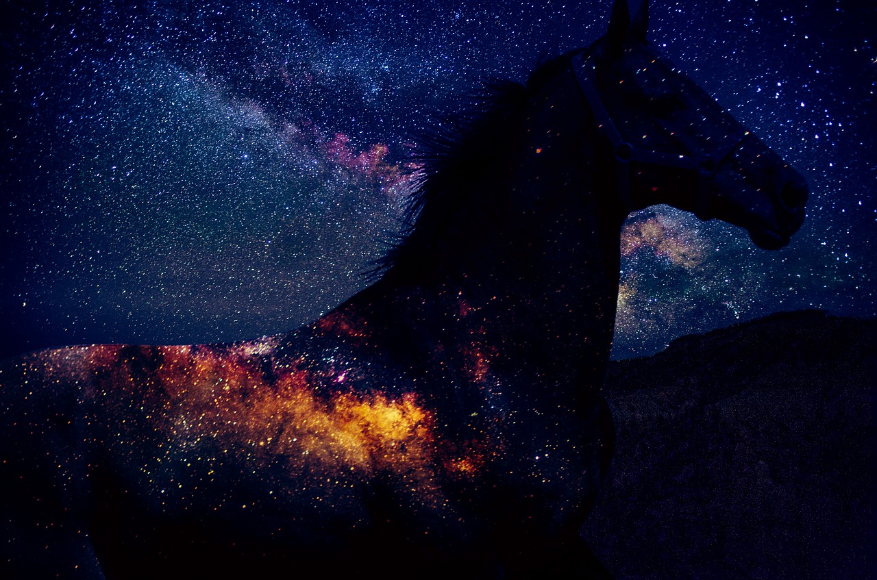 space horse