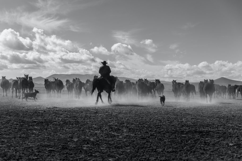 Cowboy Slang For Hello