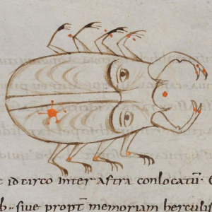 15 Weird and Funny Drawings from Medieval Manuscripts - Oddee