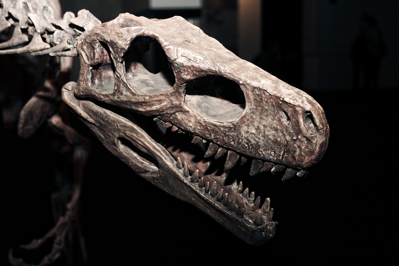 8 Weird Dinosaur Facts to Celebrate 200 Years of Naming Dinosaurs - Oddee