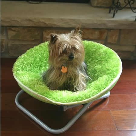 12 Coolest Pet Beds - pet beds, pet bed - Oddee