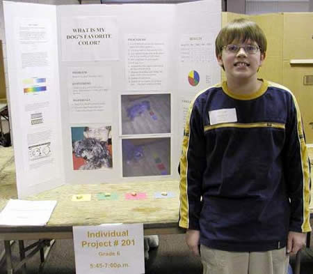 12 Fun Science Fair Projects - fun science fair projects - Oddee