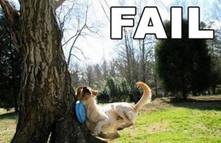 funny animal fail pictures