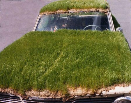 10 Most Amazing Grass - Covered Cars - amazing grass - Oddee