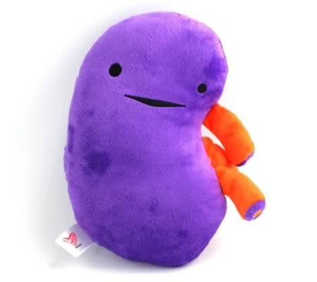 stuffed kidney bean toy