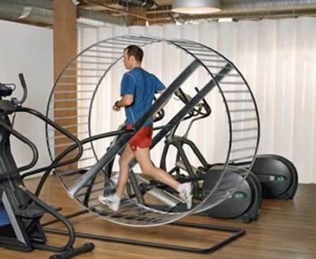 treadmill hamster wheel