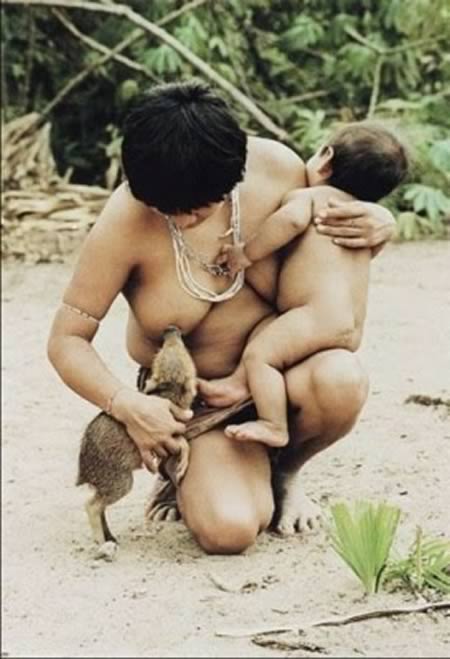 humans breastfeeding baby animals