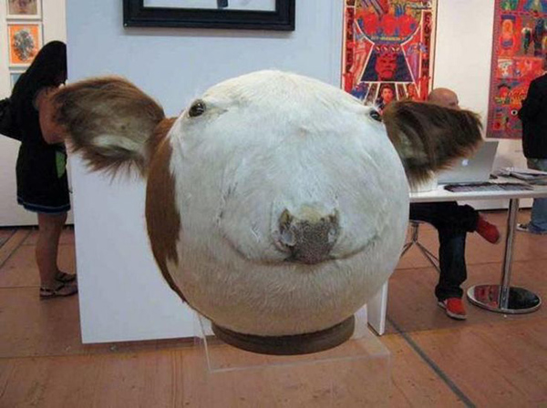 12 More Disturbing (and Funny) Examples Of Taxidermy - Oddee