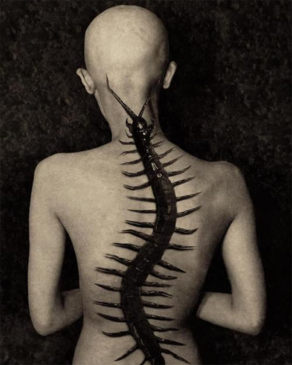 skeleton spine tattoo