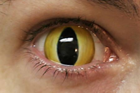 15 Strangest Contact Lenses - contact lenses, eyes contact lenses - Oddee